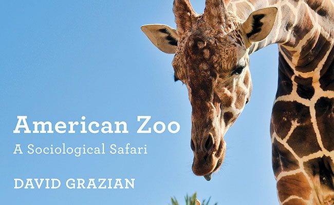 Zoo zone porn Skye carter porn
